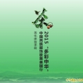 2015“多彩中华”-美国行-茶文化体验小手册 ...