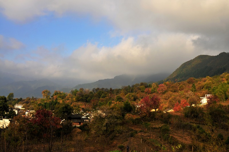 _DSC6427_光影_2.jpg