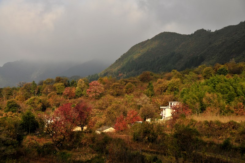 _DSC6428_光影_3.jpg
