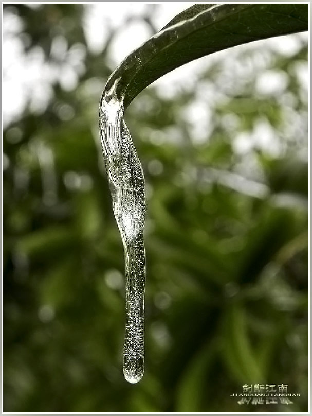 DSCN3132.jpg