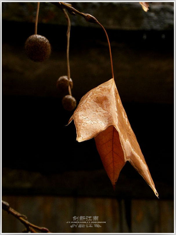 DSCN3095.jpg