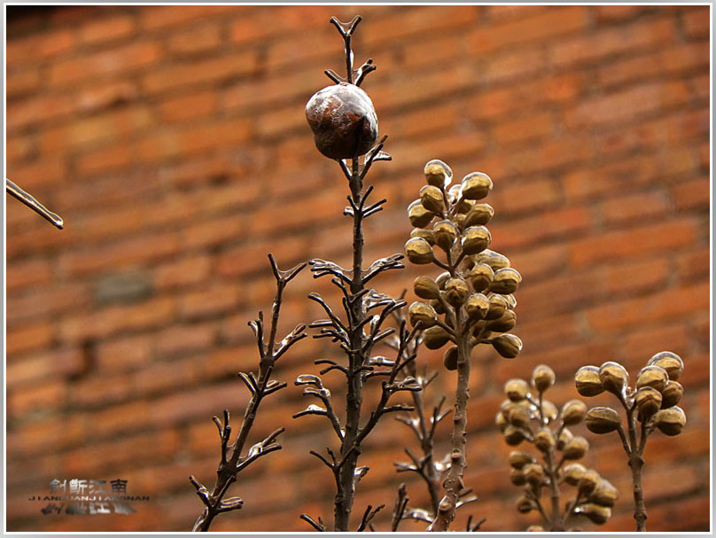DSCN3063.jpg