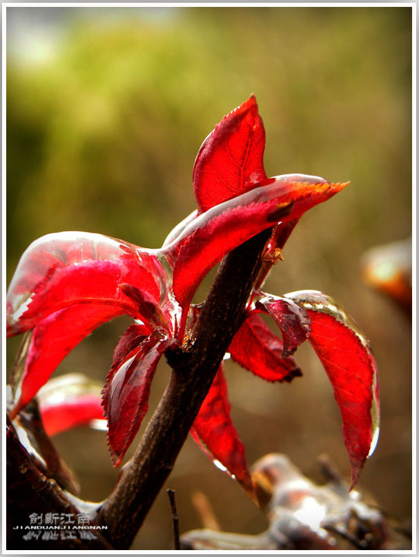 DSCN3170.jpg