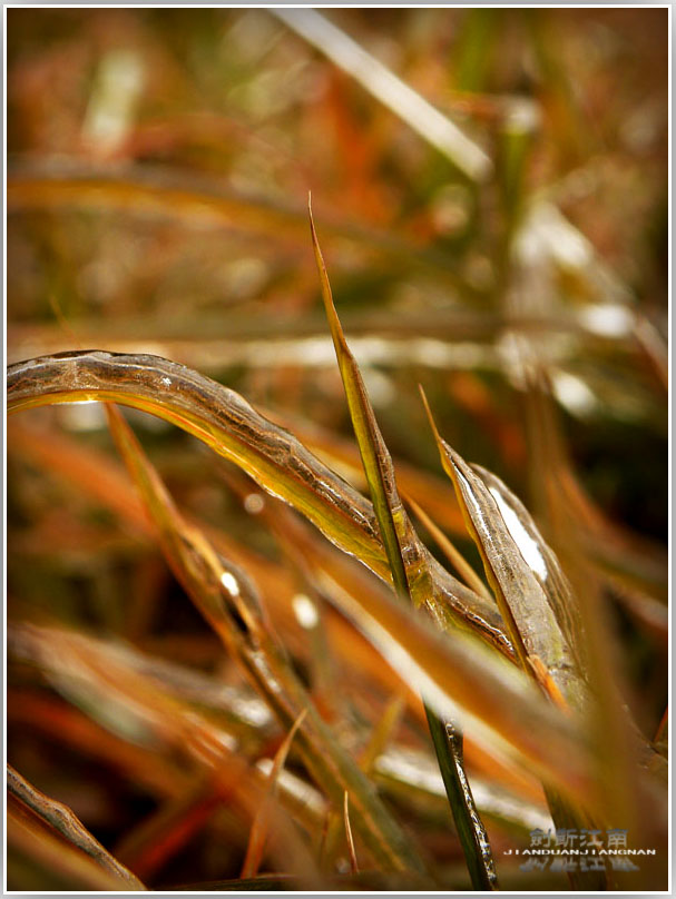 DSCN3141.jpg
