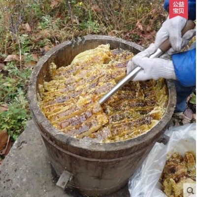 神农架土蜂蜜 纯天然野生 农家自产原生态