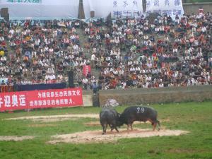 黔东南--荣获“中国最佳文化生态旅游目的地”