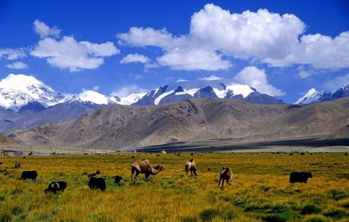 图片点击可在新窗口打开查看