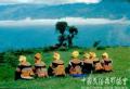 凉山彝族服饰