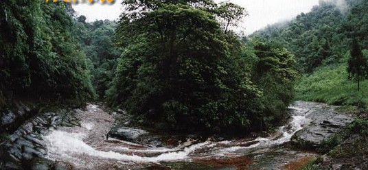 三岔河景区风景图