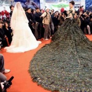 揭秘天价孔雀羽毛婚纱