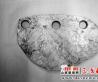 玉器和人殉之谜：芮城清凉寺墓葬群(图)