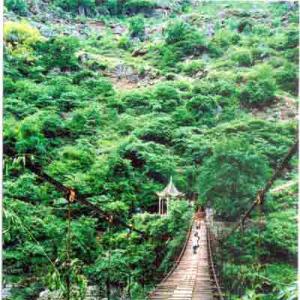 花江铁索桥