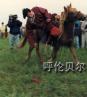 鄂尔多斯蒙古族风俗习惯――禁忌