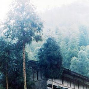 平陽畲族民居