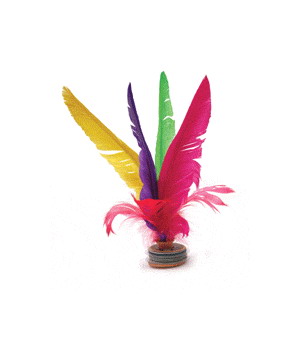 饶有趣味的踢毽子