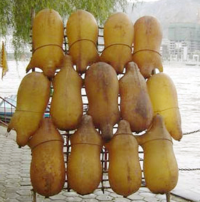 羊皮筏