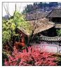 白族建筑