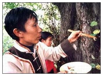 土家族的赶年