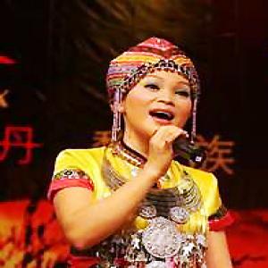 黎族歌手 黄婷丹