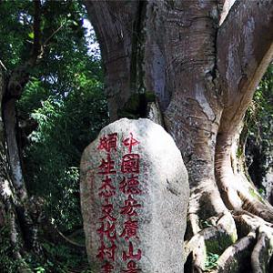 广山景颇生态园