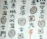 三都水族的古老文字——水书