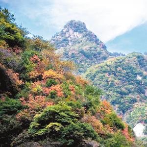 终南山开发旅游文化资源 拟申报世界文化双遗产
