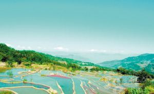 云南老勐 波光如斓 缤纷市集(组图)