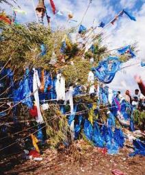 草原民族盛会-----那达慕