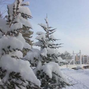 4A级景区扎兰屯市 “吊桥公园”雪之韵