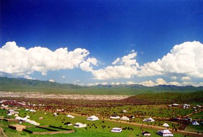 桑科草原盛夏景致