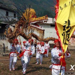 仫佬族春节活动——舞龙草