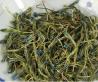 西藏野生龙胆花