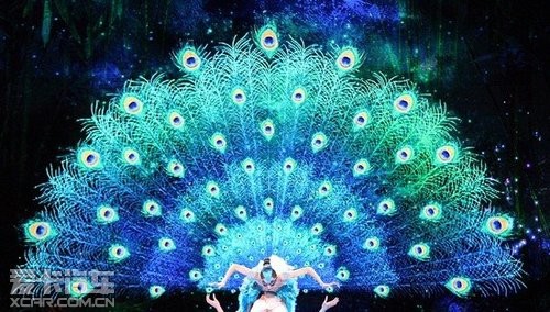 共品美学艺术盛宴 悦享民族文化传承 