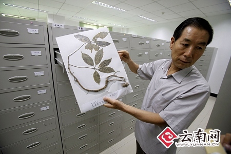 W020090914561644046728