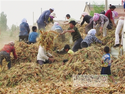 002185fa5687118d67b023