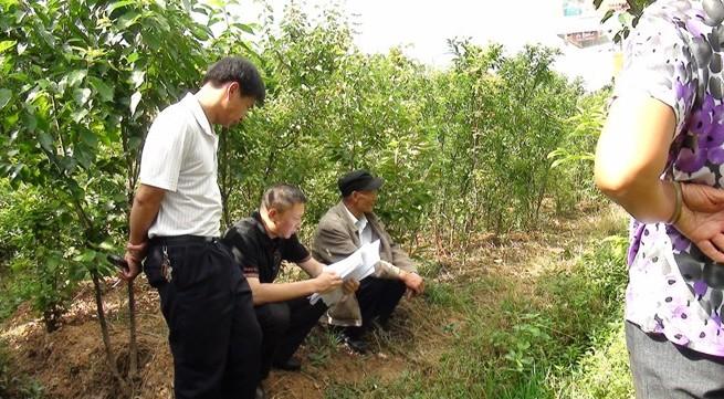 图片其版权均归原作者所有,未经许可严禁转载或建立镜像,如需转载,请与作者或本站联系 \