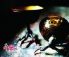 藏彝走廊之凉山彝族的漆器工艺_图片中国_中国网