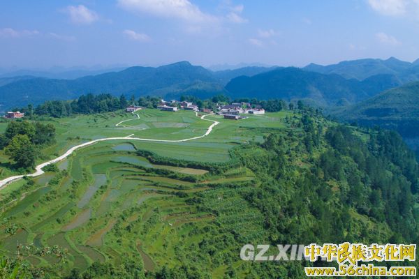 贵州云顶：夏日草原景色美