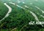贵州加大生态建设 未来5年每年将造林300万亩
