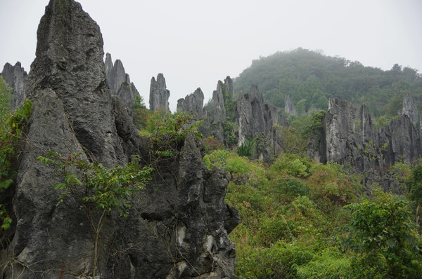 贵州旅游攻略图片