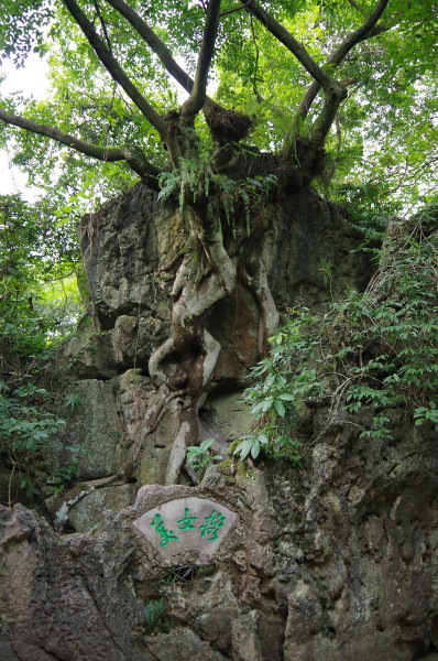 贵州景点图片