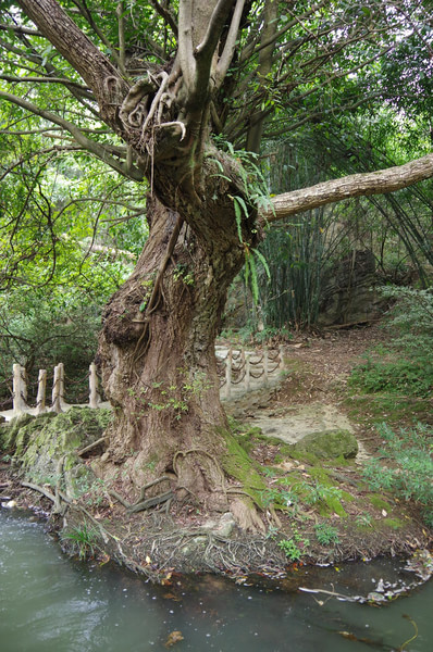 贵州旅游攻略图片