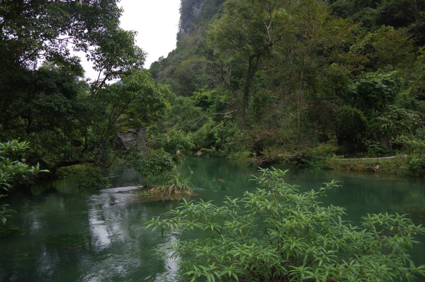 贵州自助游图片