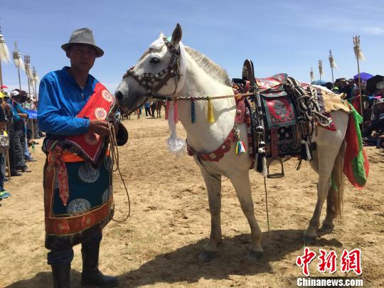 图为当地牧民给游客展示马饰品。　孙睿　摄