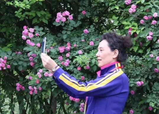 为烘托出欢乐和谐的节日气氛，千佛山景区在各主要门口广场设计摆放了节日花坛。西门以“吉祥如意”为题材制作的立体花坛，运用花环、牡丹及祥云等传统元素，寓意万事顺利，吉祥如意。南门的立体花坛运用了山、女孩剪影、花朵及绿叶四种元素，表现了“韵动佛山”的主题。三组花坛摆放一串红、矮牵牛、万寿菊、美女樱、南非万寿菊等3万余盆。